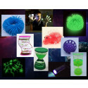 Glow in the Dark Starterkit – Sensorische Anti-stress Set voor Kinderen