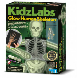 4M KidzLabs Menselijk Skelet – Educatief Wetenschapsproject met Gloeiende Magneten en Röntgenfolie