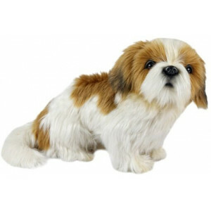 Realistische Shihtzu Hond Knuffel – 25 cm – Gedetailleerde Pluche Hond | Educatief & Therapeutisch | Perfect voor Kinderen, Ouders, Leraren en Verzamelaars