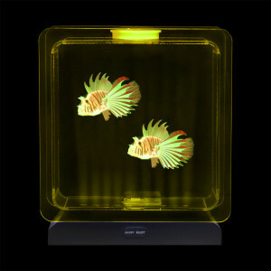 Sensorisch Aquarium – Vierkant met Tropische Vissen – LED Antistress Lichtshow