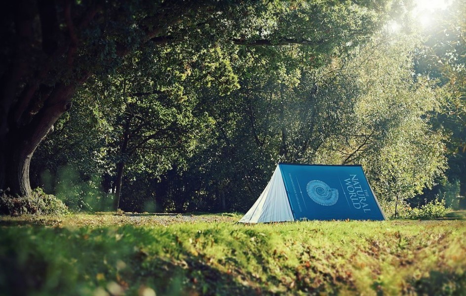 FieldCandy